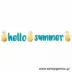 Διακοσμητική Γιρλάντα "Hello Summer Ανανάς" (125εκ.)