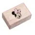 Κουτί Λαδικού Minnie