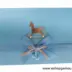 Βιβλία Ευχών Βάπτισης Αγόρι Αλογάκι